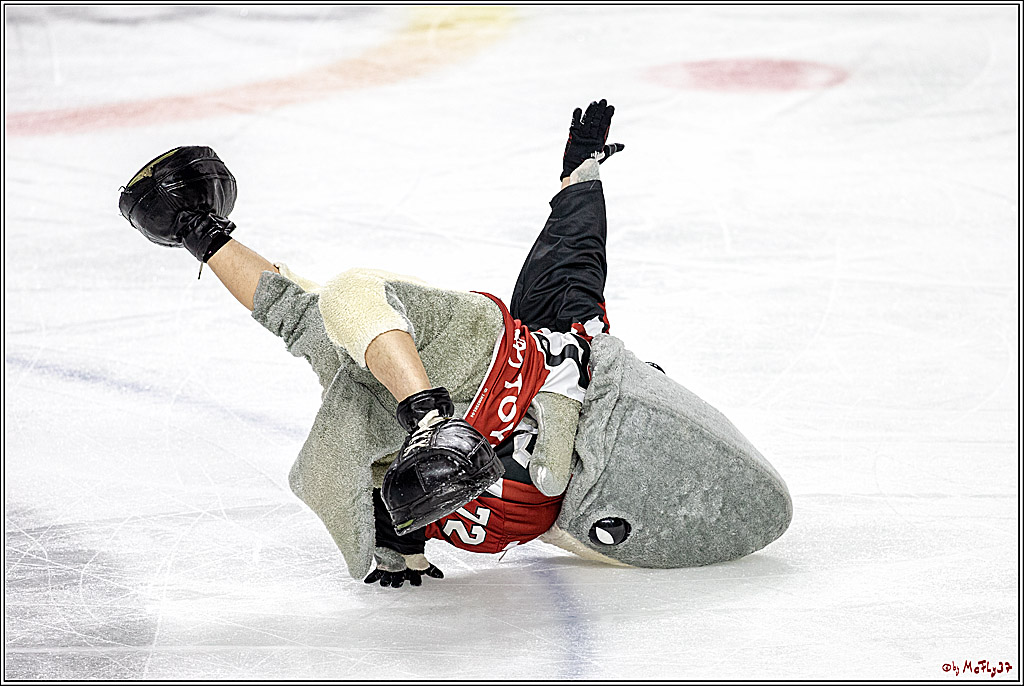 DEL; Koelner Haie - Schwenninger Wild Wings, 06.12.2018